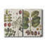 " Exotic Botanique I " 2 - Pieces-1139866344