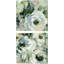 Sauge et lavande pivoines par Silvia Vassileva, art sur toile (ensemble de 2)