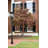 Staton Transparent Lamp Post (Full)