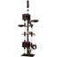 Twyla 260cm H Cat Tree-1773892784