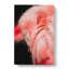 Pink Flamingo Abstract Art - Wrapped Canvas-55324792