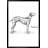Dalmation - reproduction de cadre flottant sur toile-72858502
