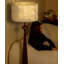 Beige-blanc + polyester brun-noix + lampes sur pied de forme libre en acier au carbone