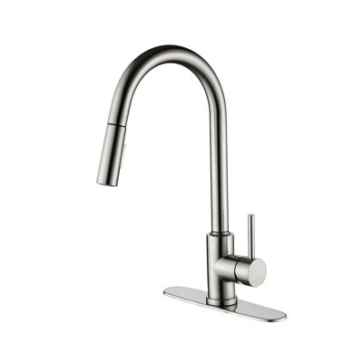 Kitchen Faucet With Pull Down Sprayer