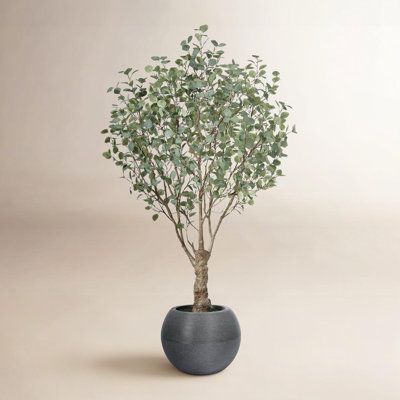 Aldery 84" Eucalyptus Tree in Planter