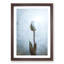 Solitary White Tulip Painting - Framed Print-56922536-56922537