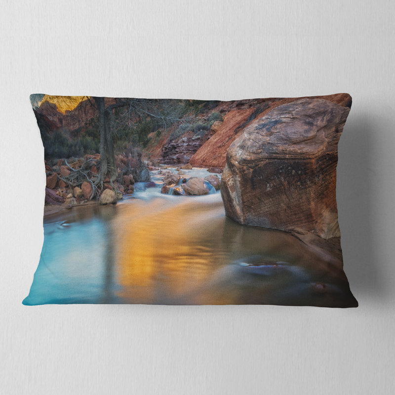 Coussin lombaire Schaer