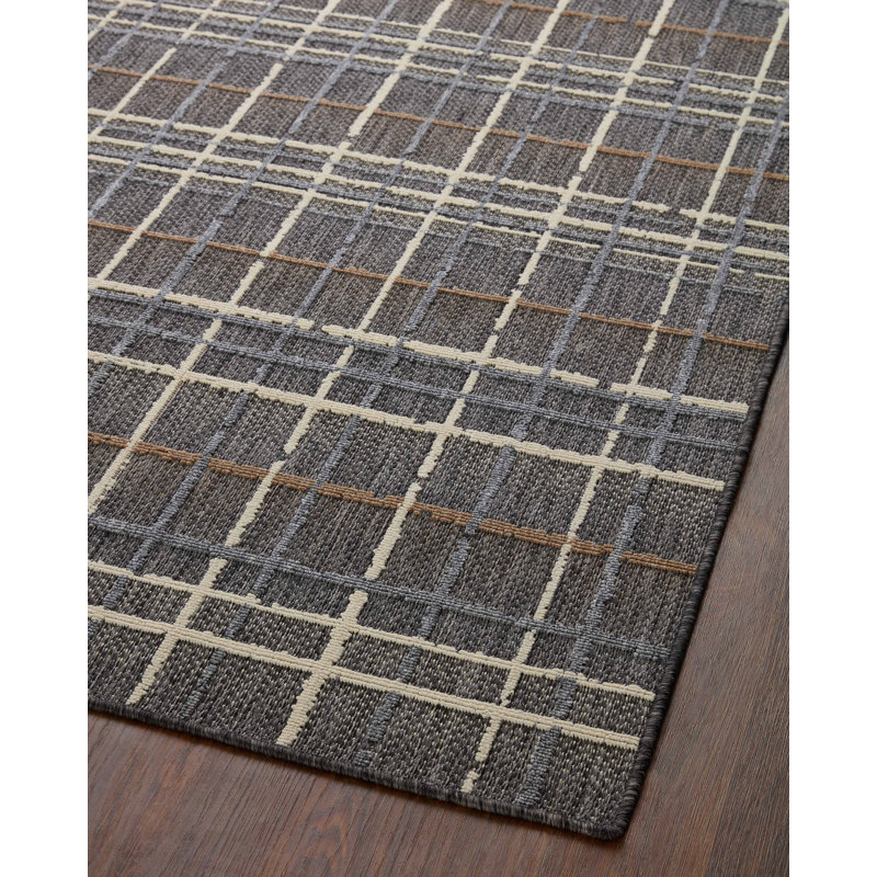 Pesina II Charcoal / Multi Indoor/Outdoor Area Rug, Square 1'6"
