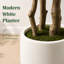 Faux Ficus Tree in Pot, Artificial Ficus Tree for Indoor Decor with White Planter-1716094709