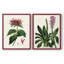 AntiqueFloralFolioI - reproduction encadrée de qualité supérieure - prête à être accrochée - aucun clou requis - aucun clou requis-160436337-160436302