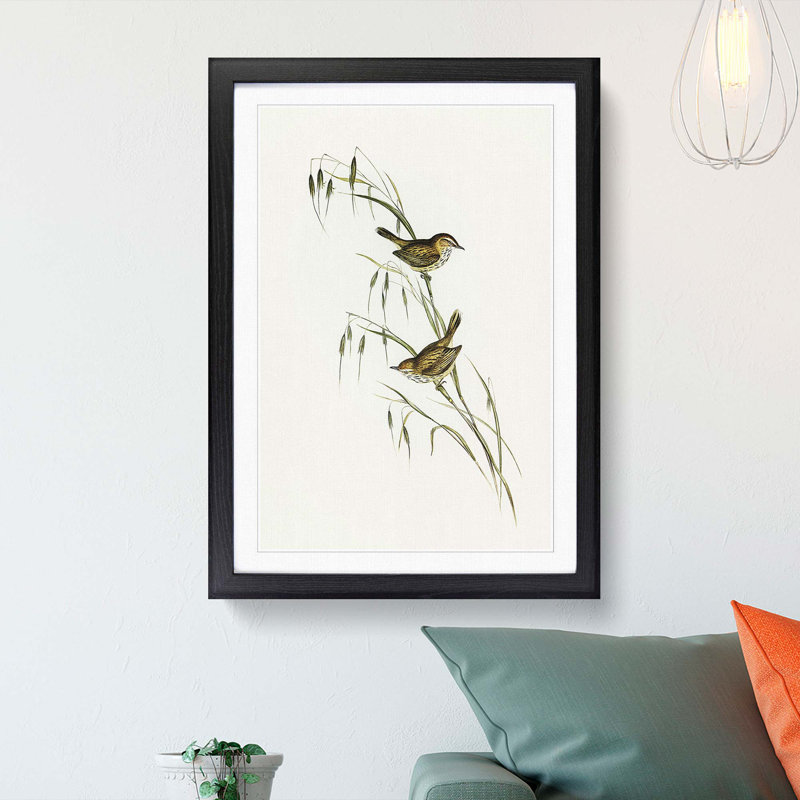 Field Reed Lark by Elizabeth Gould - Picture Frame Art Print, 65cm H x 48cm W x 2cm D, Black Framed