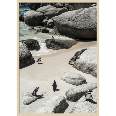 Chilling At the Beach No 2 by Shot by Clint Wood Framed Wall Art Print