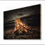 Sapin de plage au coucher du soleil III sur bois-509834158