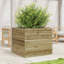 2 Wood Planter-100491985-100491986