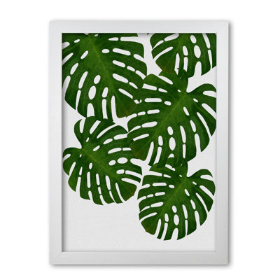 Monstera Leaf I - Print