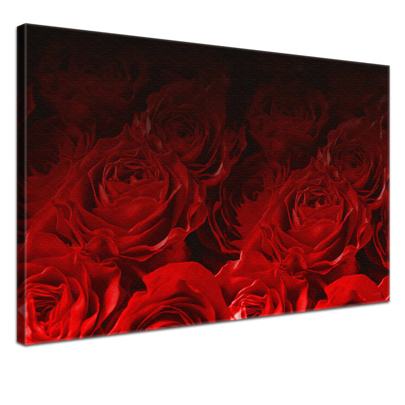 Bed Of Roses - Print on Canvas, 100cm H x 150cm W x 2cm D