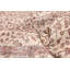 Tapis ivoire Melis Vintage 7 pi 0 po x 9 pi 4 po