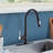 Topcraft Single Handle Single Hole Kitchen Sink Faucet with Base Plate