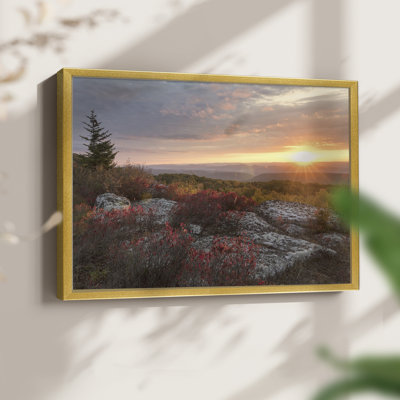 Good Morning -Framed Print - Restickable