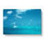 White Sailboat In The Open Ocean - Wrapped Canvas Painting-55305195