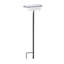 Bain d'oiseaux Brander-1041282363
