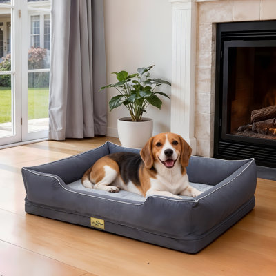 Orthopedic Dog Bed with Bolster 