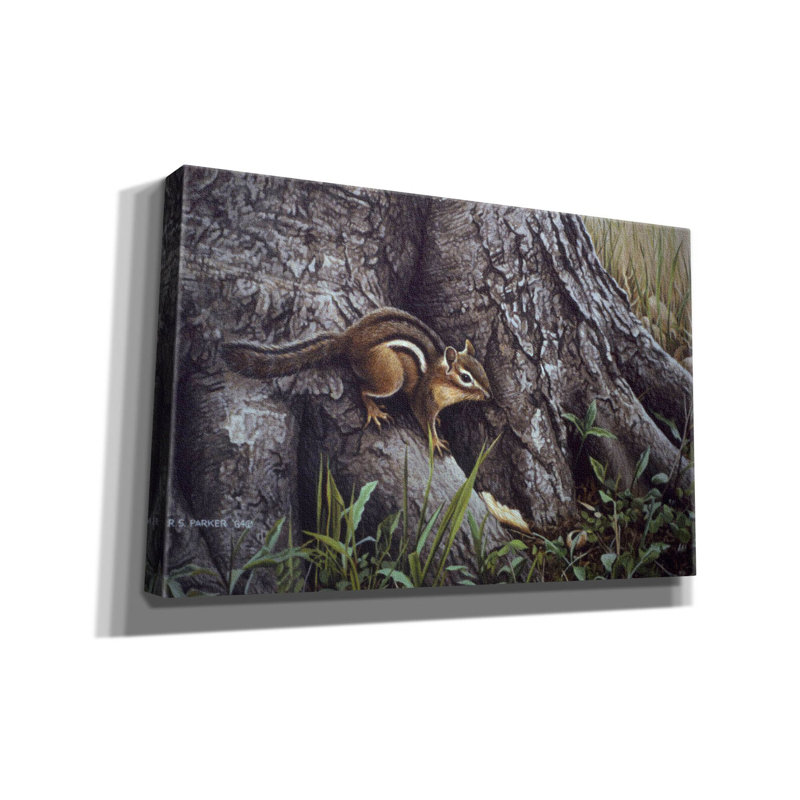 «Wary Glance On Canvas» par Ron Parker, reproduction, H 26 po x l 40 po x P 1,5 po