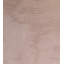 Fossil Ashima 100% Cotton Fabric
