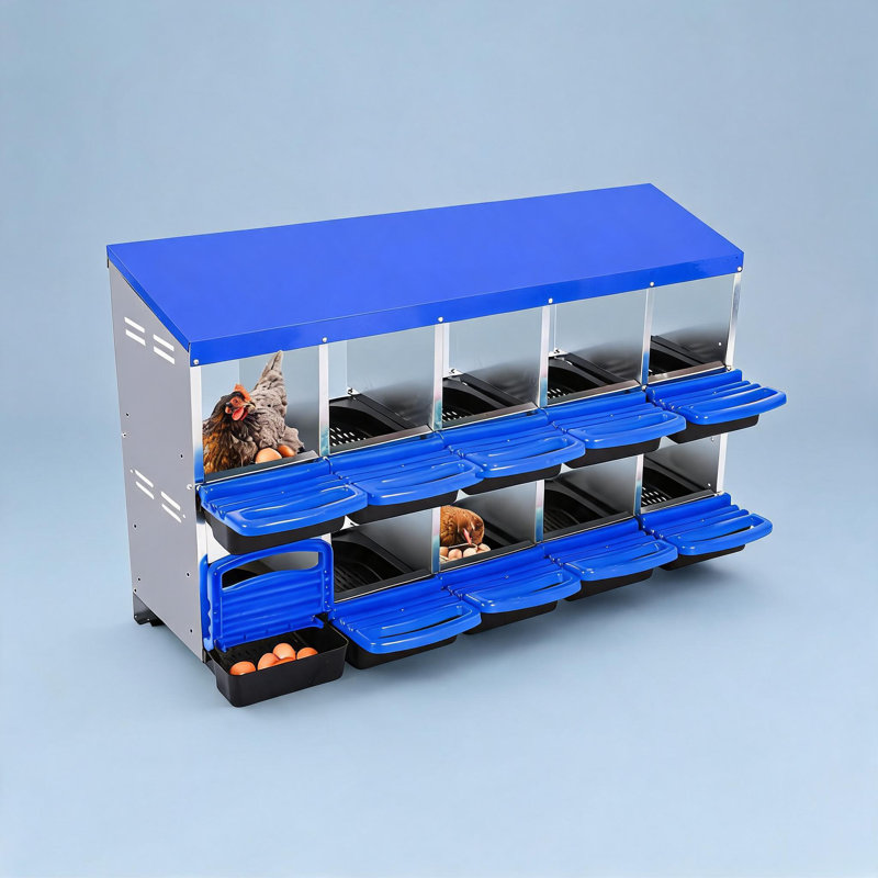 Boîtes de nidification pour poulets, 10 boîtes de poules pondeuses, plateau en plastique amovible, facile à nettoyer, nichoirs roulants pour poules pondeuses, bleu