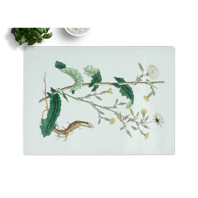 Tempered Glass Wild Lettuce Illustration Chopping Board, 28.5 cm x 20 cm
