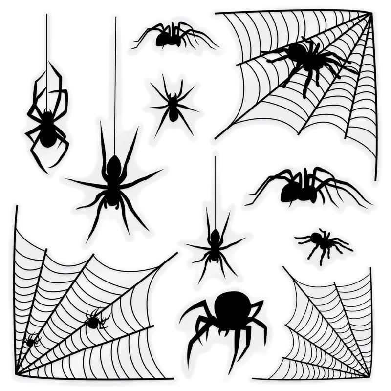 Silhouette d'araignée et de toile d'araignée