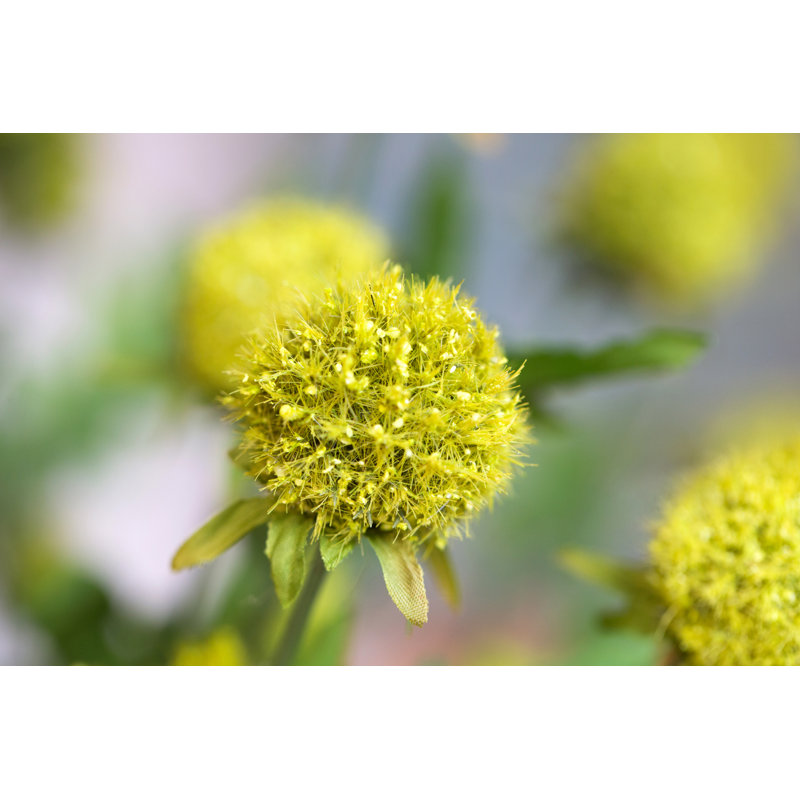 Pompon Arrangement, Green