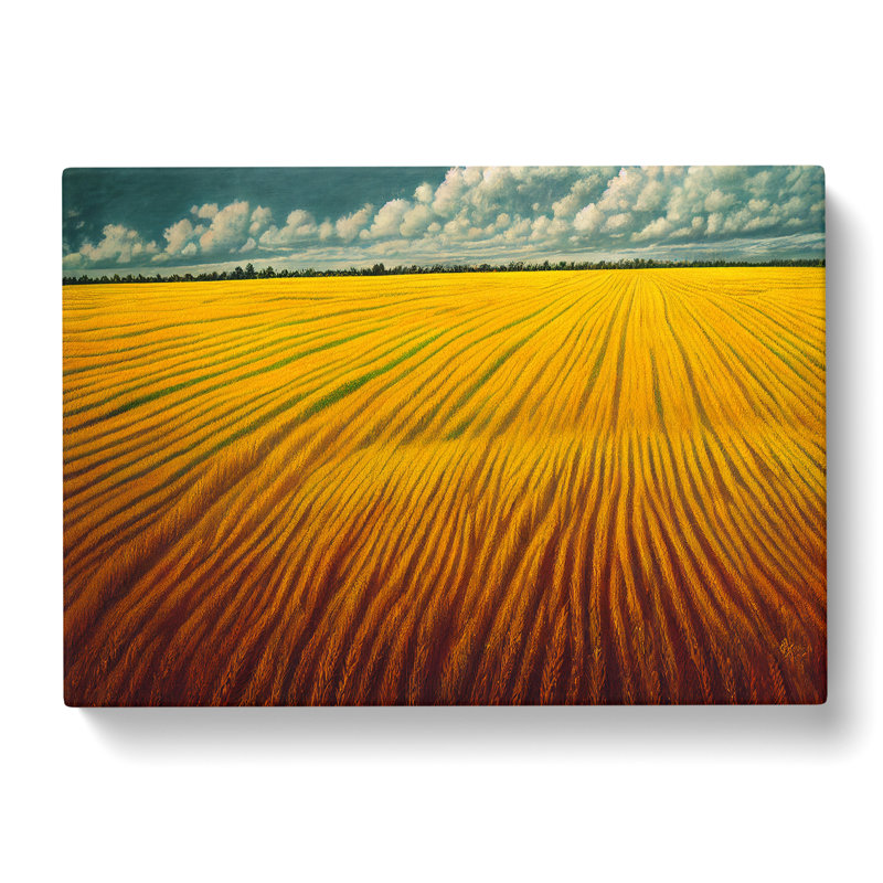 Bright Wheat Field - Wrapped Canvas, 50cm H x 76cm W x 3cm D