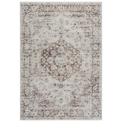 Madison Performance Oriental Rug