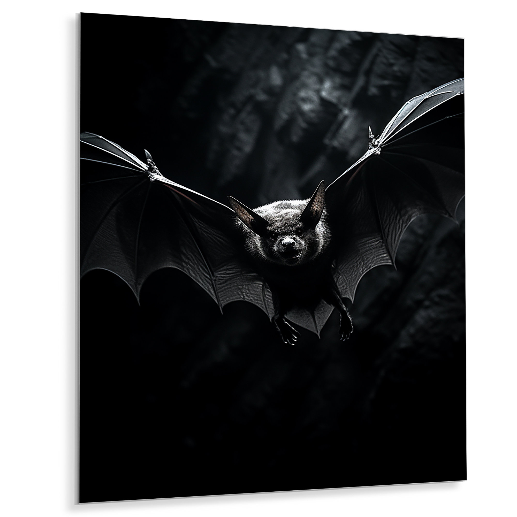 Curated visual reference: Bat Silent Rearing Eventually Boils Meows Reference: Winston Porter Bat Silent Wings Animals Metal Wall Art
