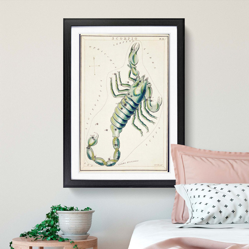 Astronomical Zodiac Chart Of The Scorpio - Single Picture Frame Painting, 63cm H x 45cm W x 2cm D, Black