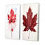 Red Maple Leaf Beauty I - ensemble de 2 décorations murales feuille d'érable-102577638-102577635