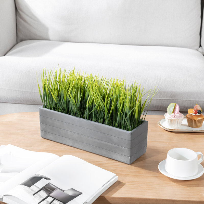 23.49cm Faux Onion Grass Grass in Cement Planter