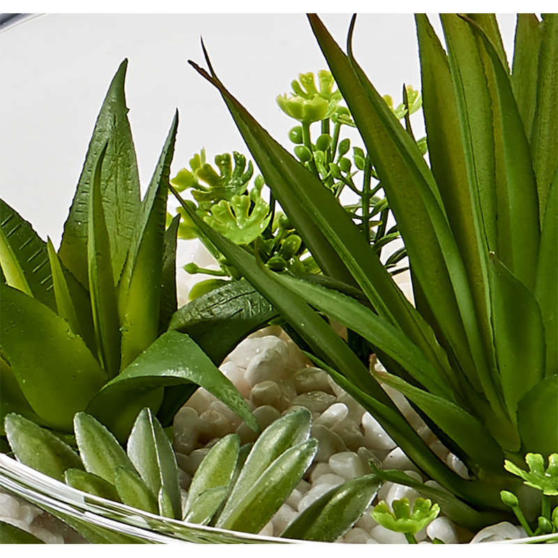 Vaisselle succulente Agave Garden