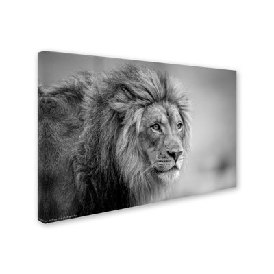 « sa majesté », reproduction de photo sur toile tendue