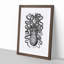 Octopus in Black and White by George Shaw - Picture Frame Drawing Print-55577089-55577091