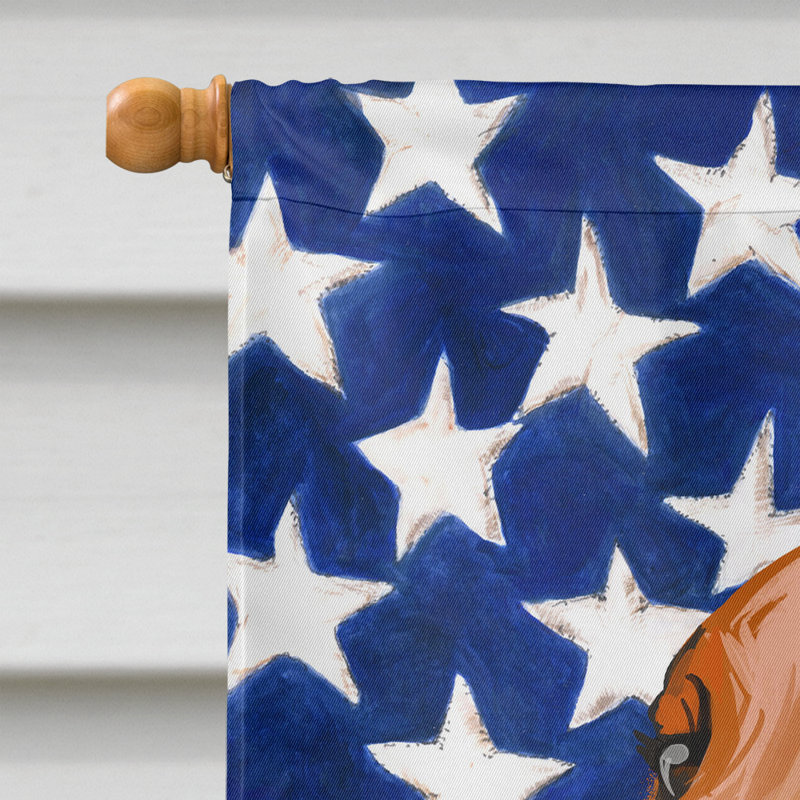 Polyester à 2 côtés 28 x 40 po drapeau maison, Chien de Rhodésie à crête dorsale