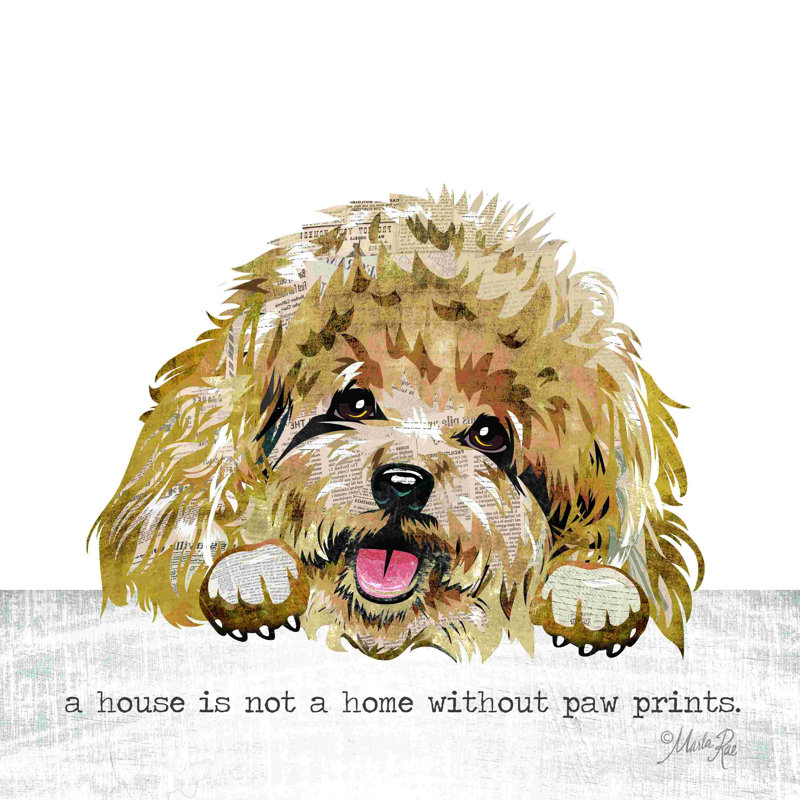 Une maison n'est pas une maison 2883677, H 12 po x l 12 po, Non, Wrapped Canvas