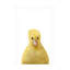 Canard sur toile-2073309675