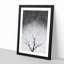 Bird House in a Tree - Picture Frame Graphic Art Print-56862821-56862827
