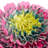 Floral Throw Pillow