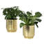 Handmade Pot Planter-589932627