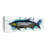 " Tarpon Fish " 3 - Pieces-1783038309
