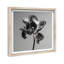 Tidal Wilt III Print by Oliver Gal-637662194-637662199