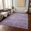 Tapis lavande intérieur / extérieur lavable à la machine ACN1650-104345898
